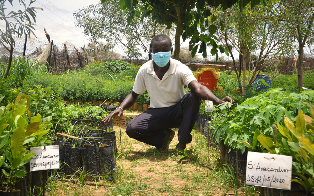 Interview: How Communities are Fighting Desertification in Senegal