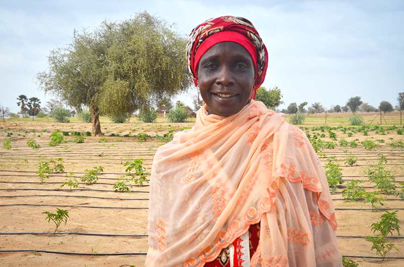 thenextgenerationinsenegal