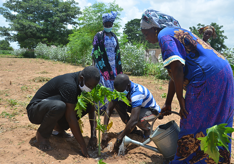 tree planting campaign