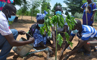 Tree-Planting Campaign Photo Highlights from Diabel