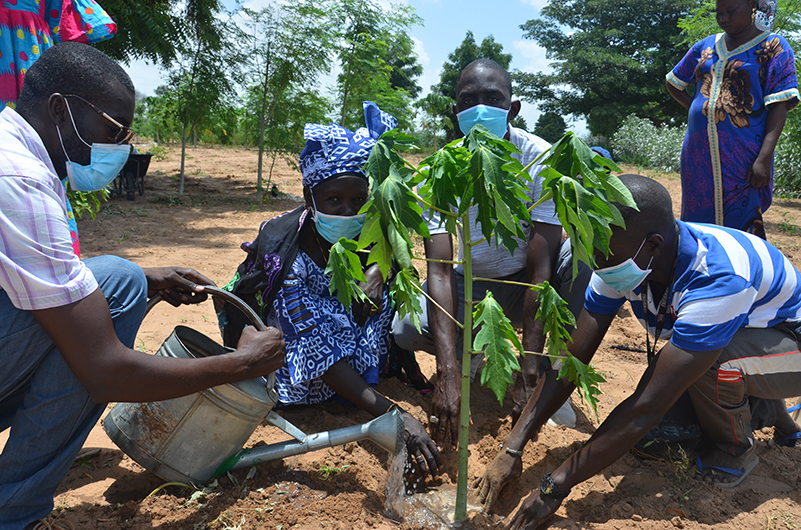 Tree-Planting Campaign Photo Highlights from Diabel