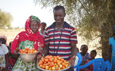 Webinar: Exploring New Ideas to Transform Food Systems in Senegal