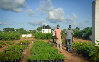 Celebrating 10 Years of Lessons Learned: Stories from Our Staff in Senegal