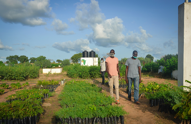 Celebrating 10 Years of Lessons Learned: Stories from Our Staff in Senegal
