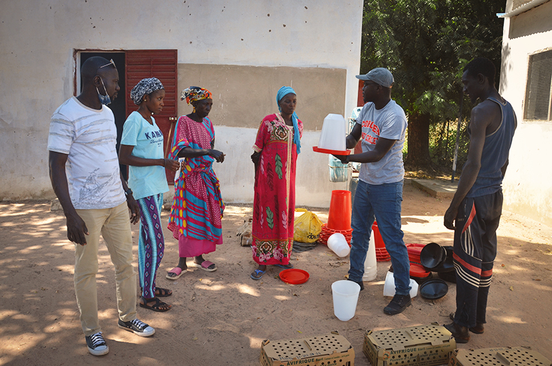 Bringing the Market to the Community: Yougouré’s First Poultry Raising Project