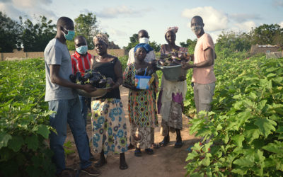 Let CREATE! Take You on a Virtual Tour of Mbossedji’s Community Garden