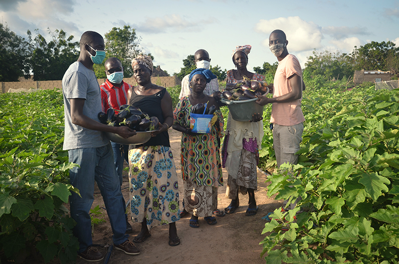 Let CREATE! Take You on a Virtual Tour of Mbossedji’s Community Garden